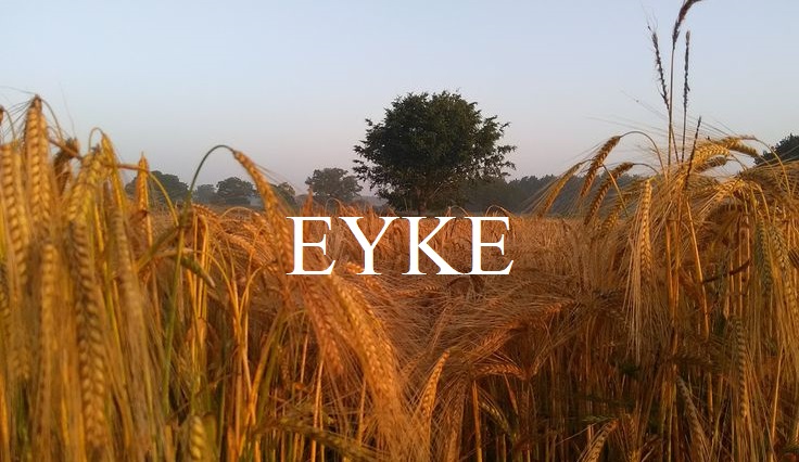 Oak Grove, Eyke - Launching Spring 2025